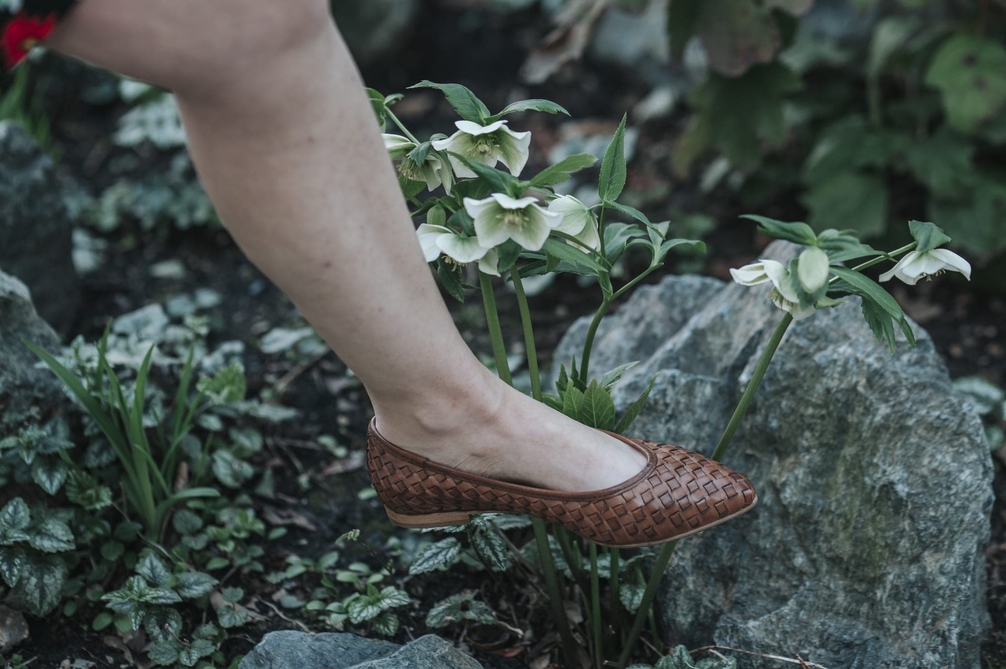 Vueva Shoes