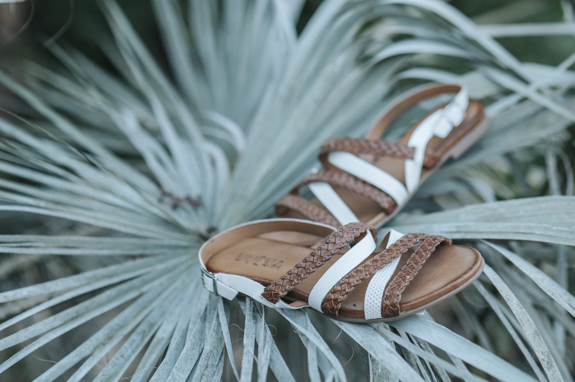 Vueva Shoes