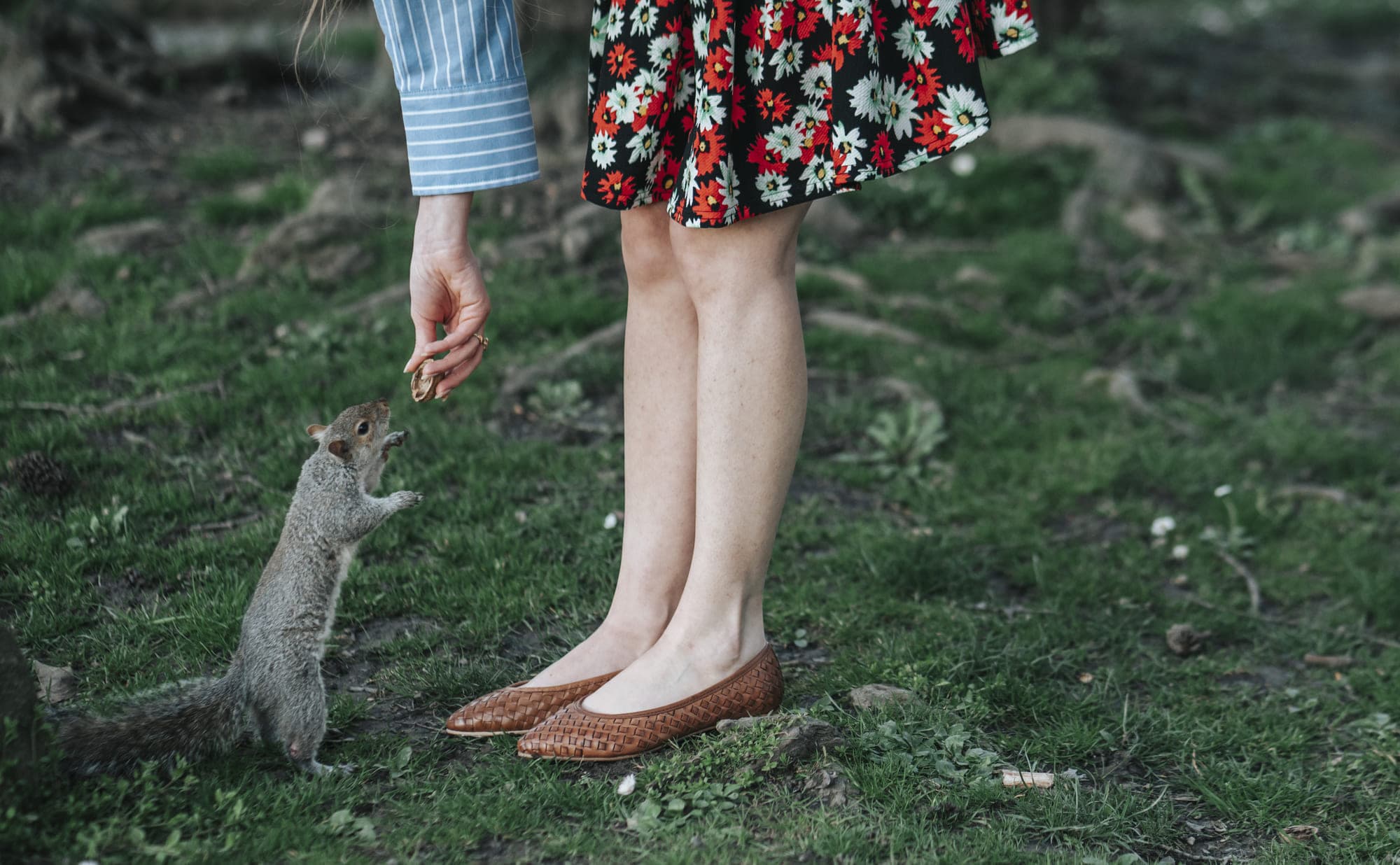 Vueva Shoes